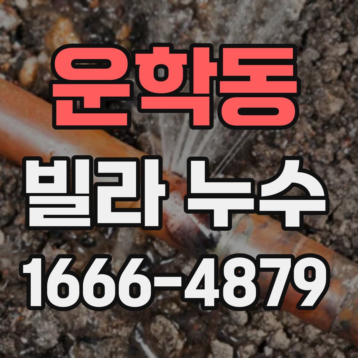 운학동 빌라 누수