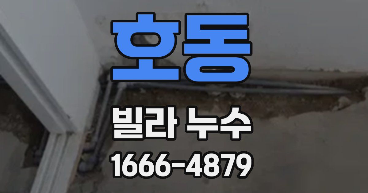 호동 빌라 누수