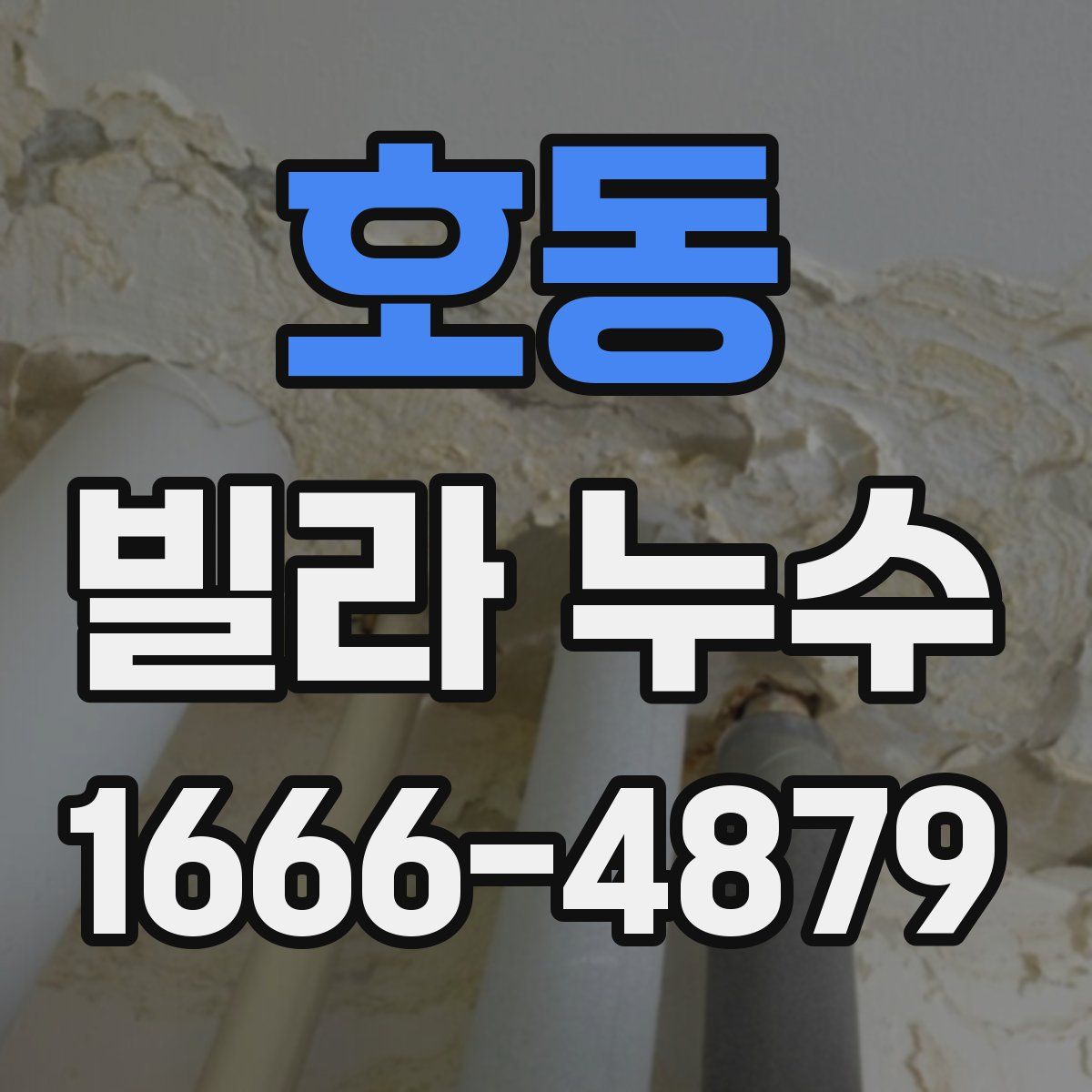 호동 빌라 누수