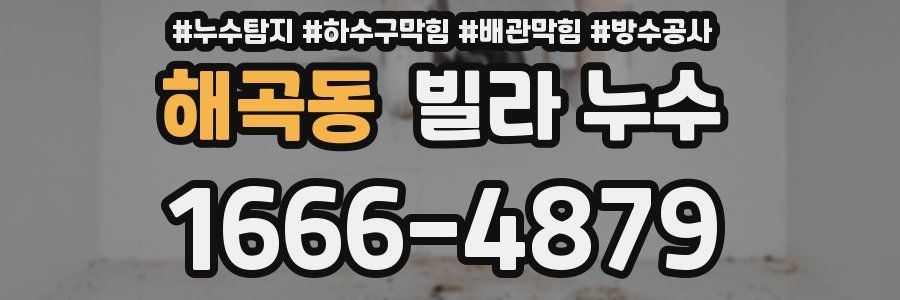 해곡동 빌라 누수