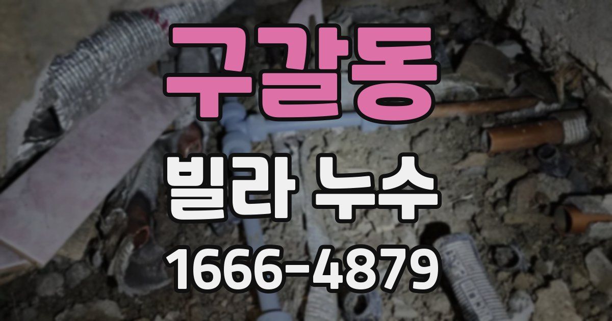 구갈동 빌라 누수