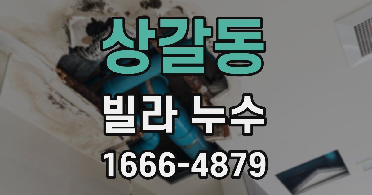 상갈동 빌라 누수