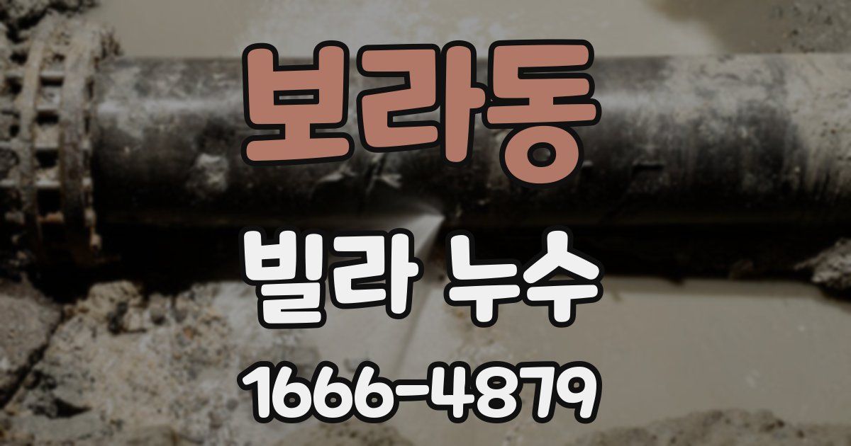 보라동 빌라 누수