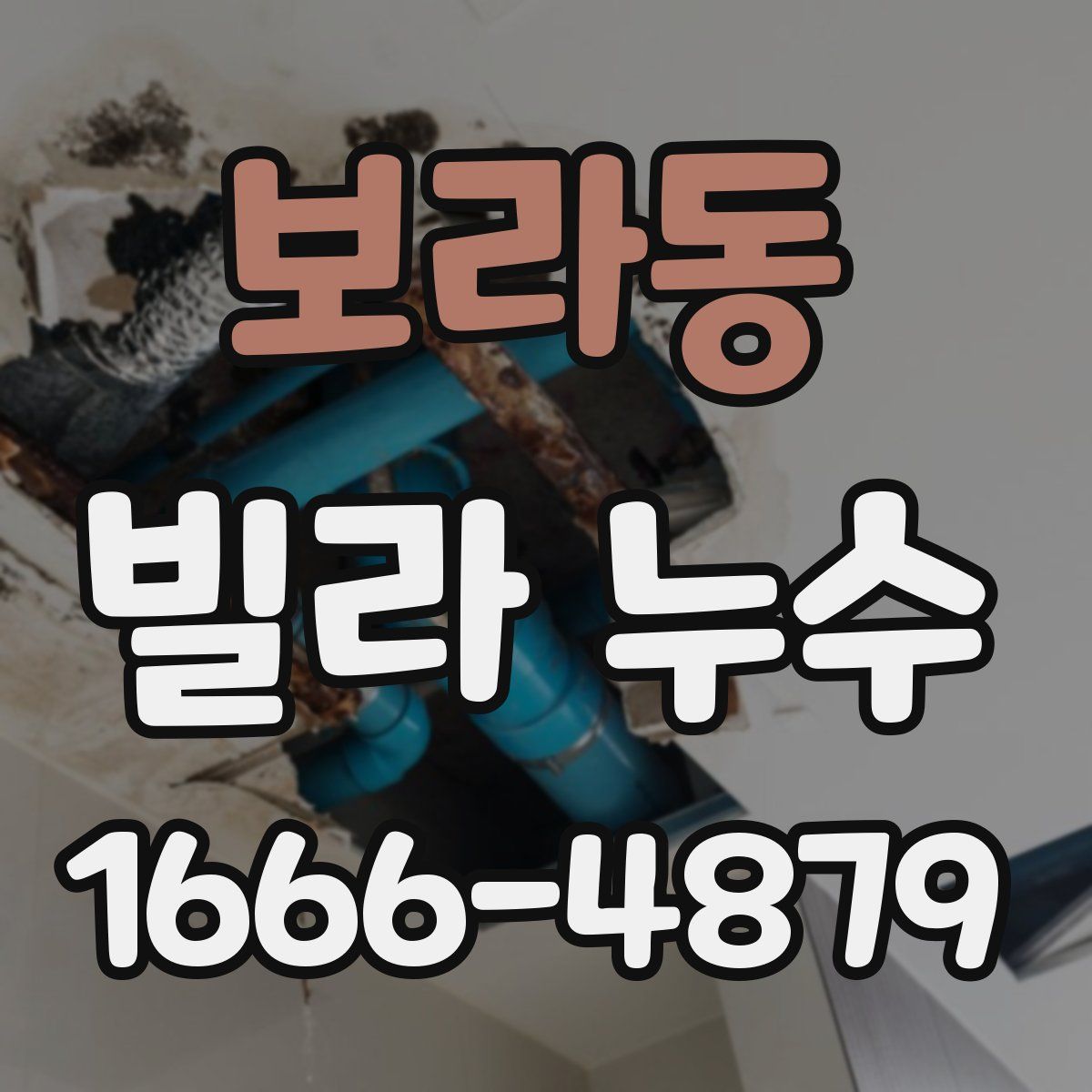 보라동 빌라 누수