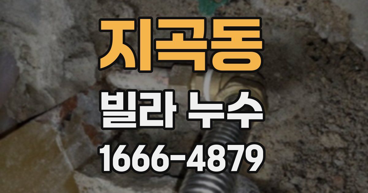 지곡동 빌라 누수
