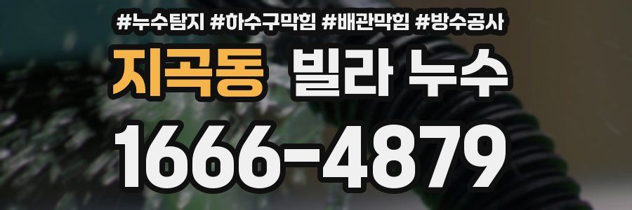 지곡동 빌라 누수
