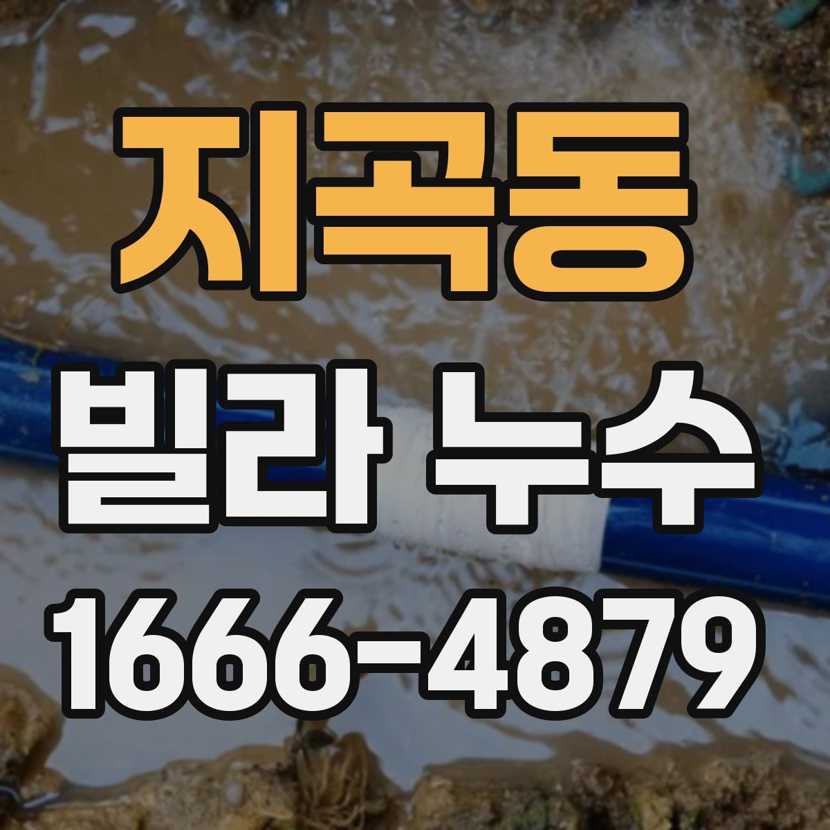 지곡동 빌라 누수