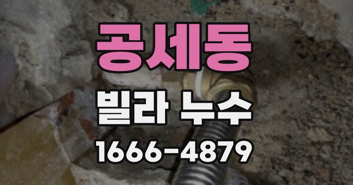 공세동 빌라 누수