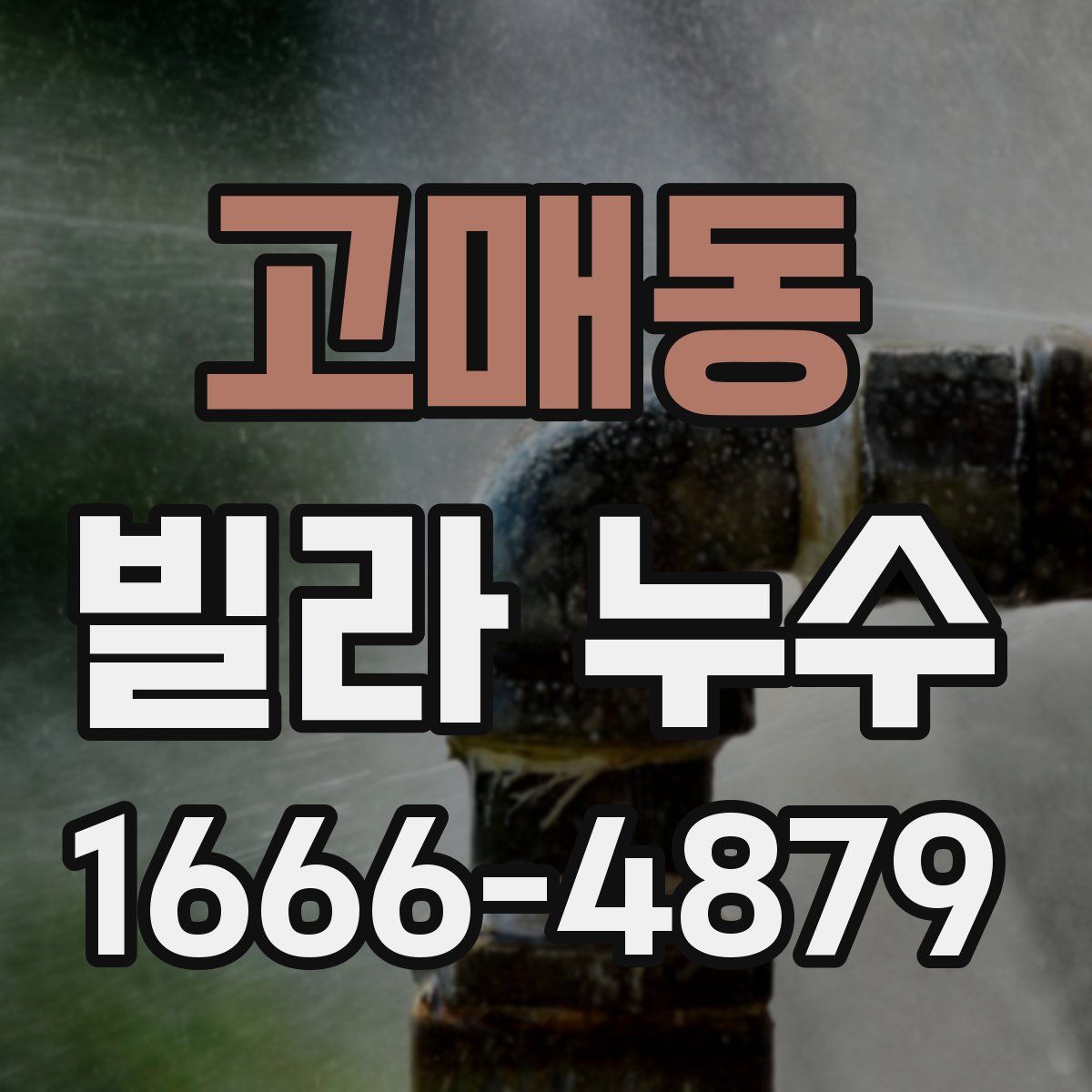 고매동 빌라 누수