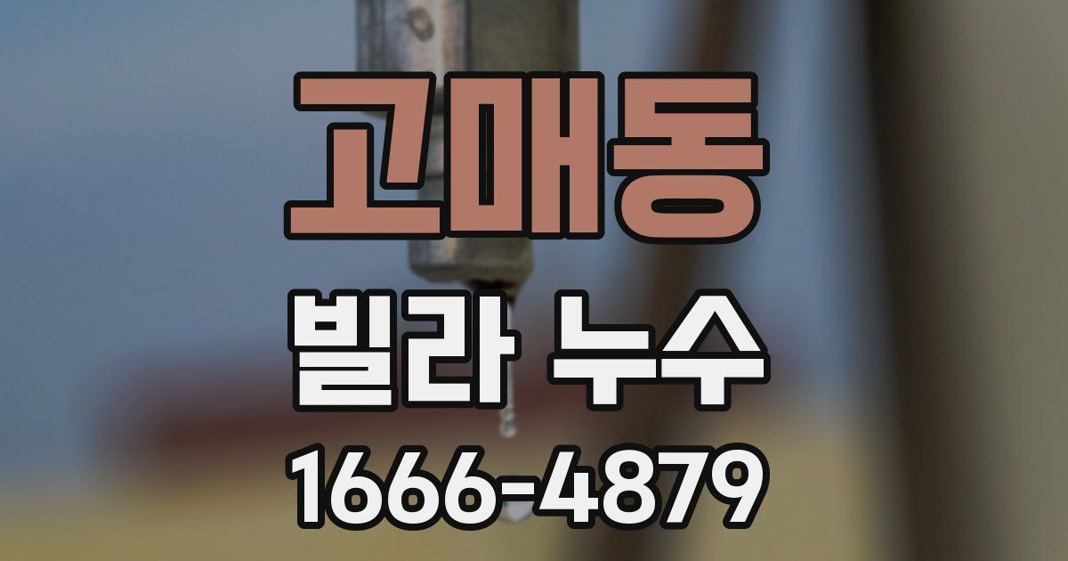 고매동 빌라 누수