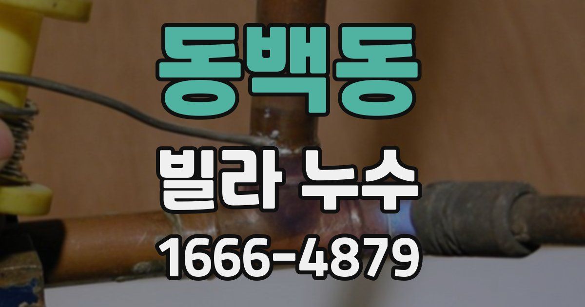 동백동 빌라 누수