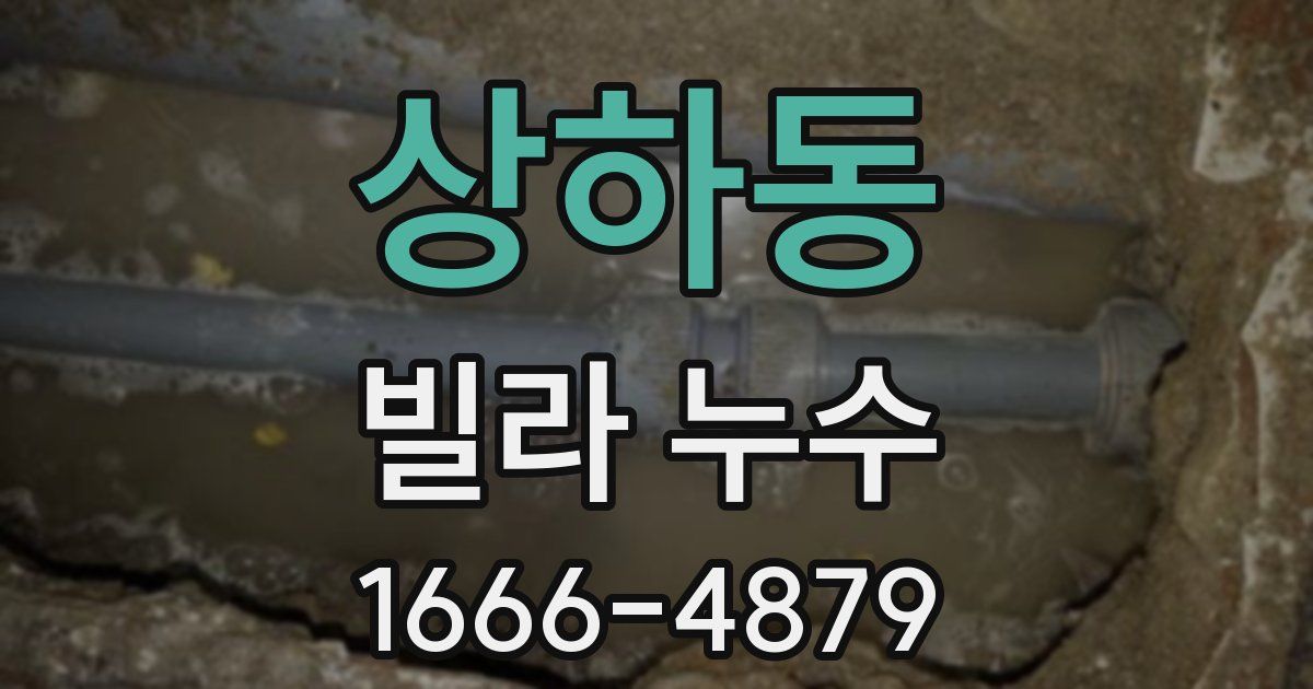 상하동 빌라 누수
