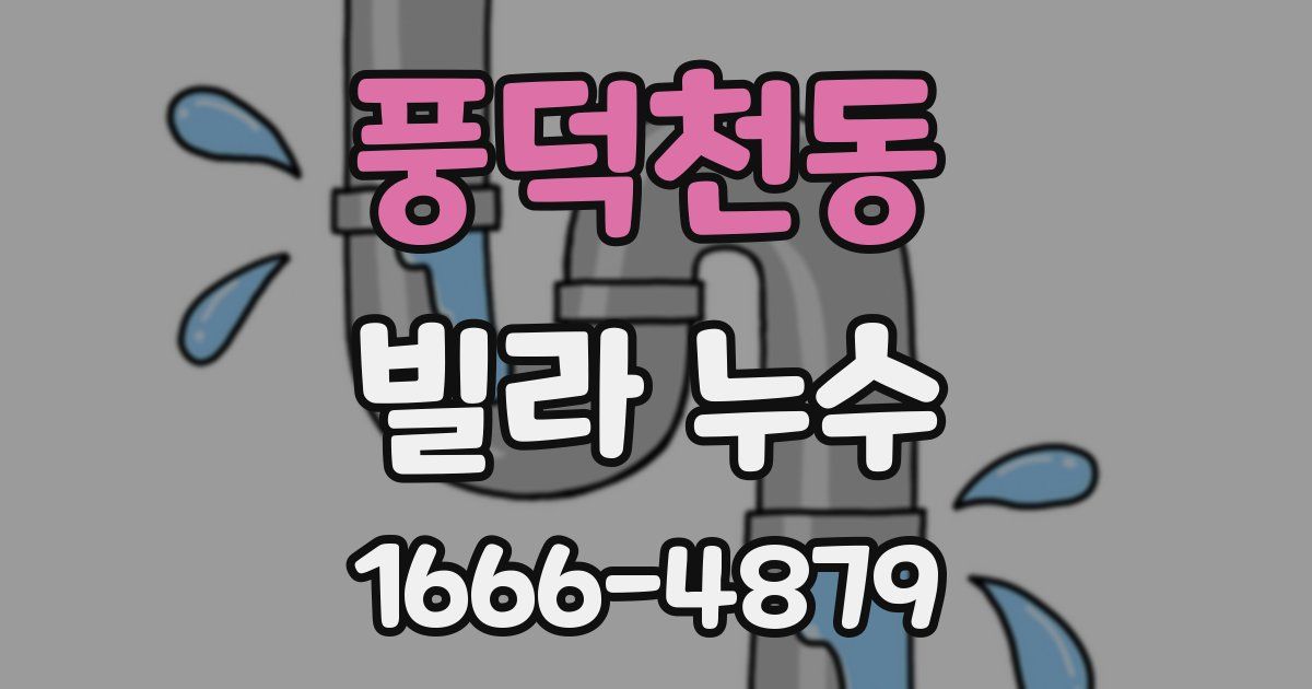 풍덕천동 빌라 누수