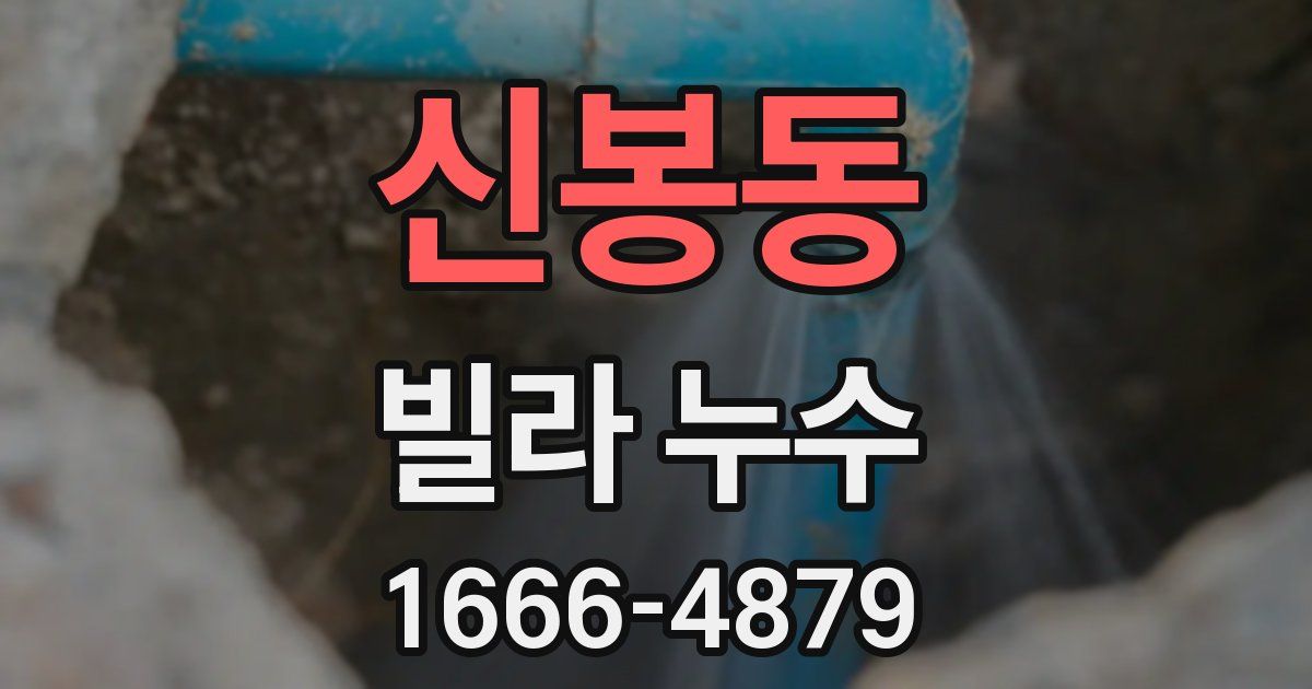 신봉동 빌라 누수