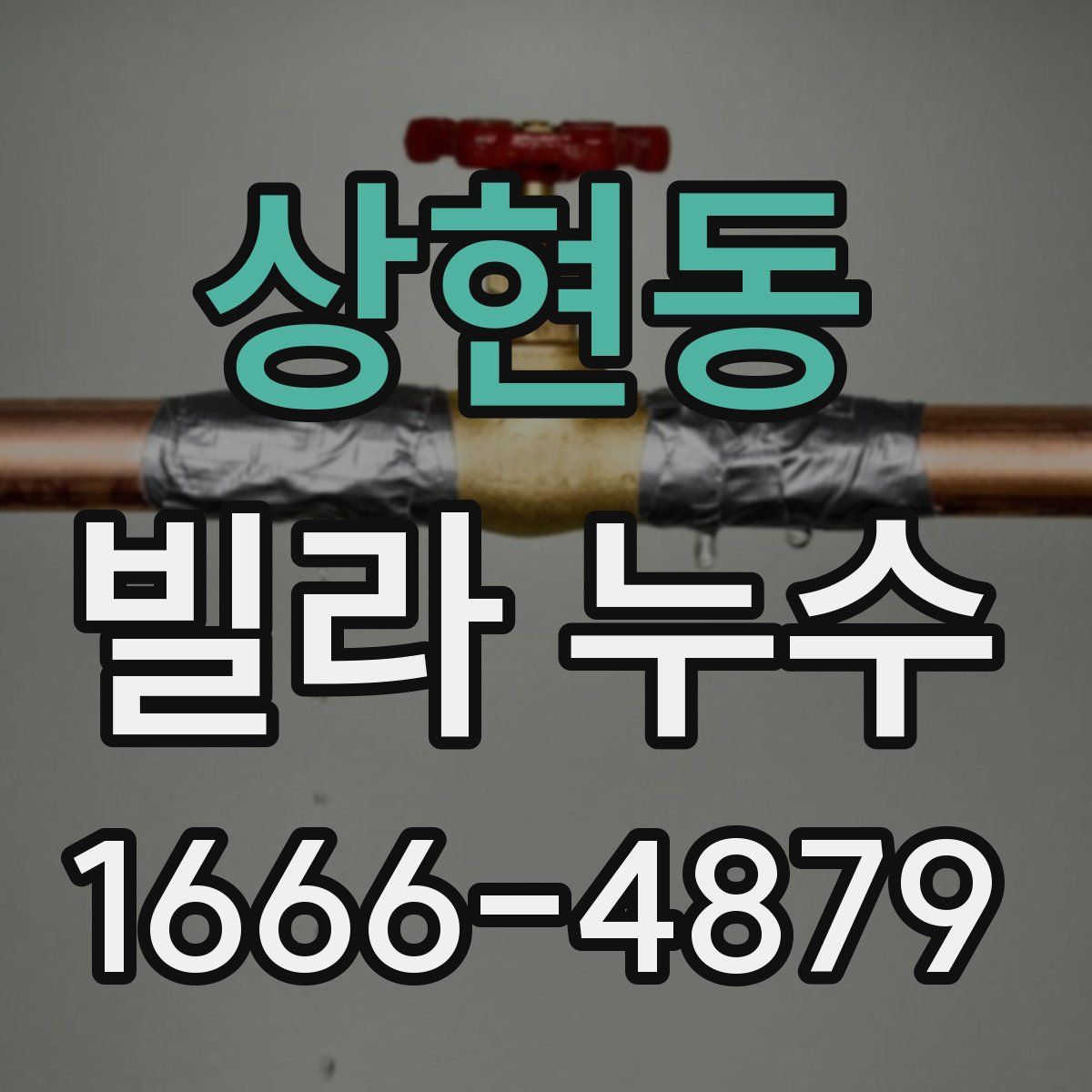 상현동 빌라 누수