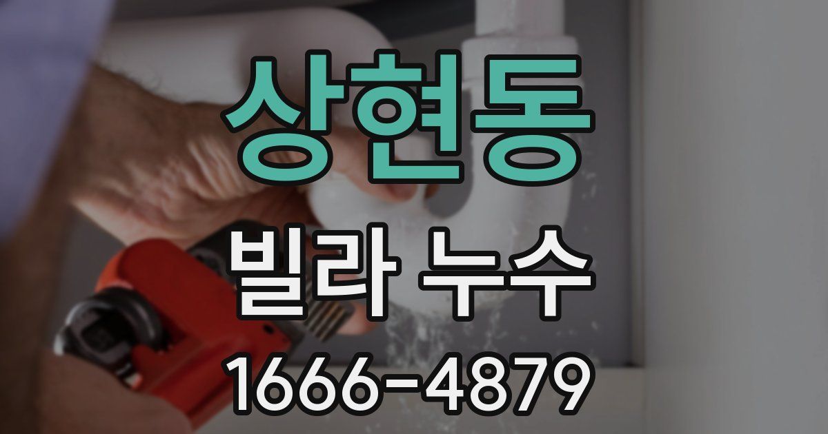 상현동 빌라 누수