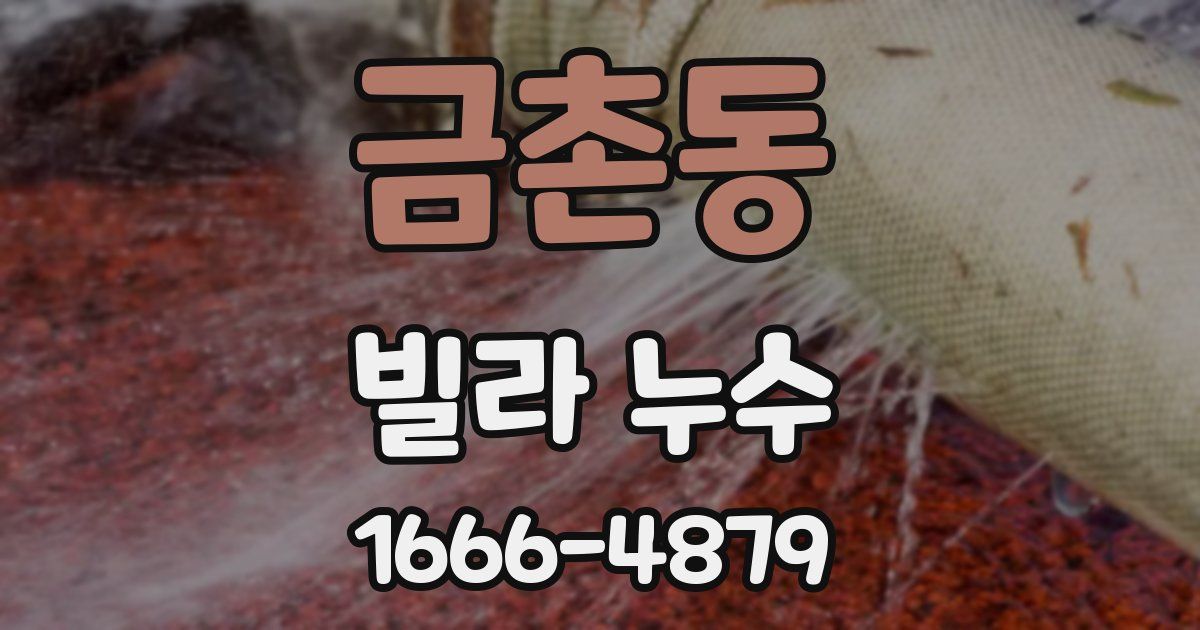 금촌동 빌라 누수