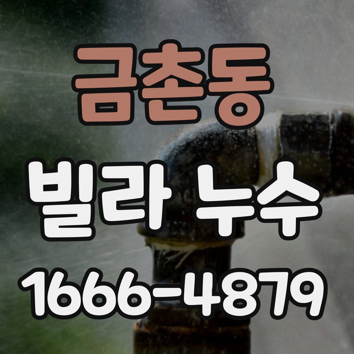 금촌동 빌라 누수