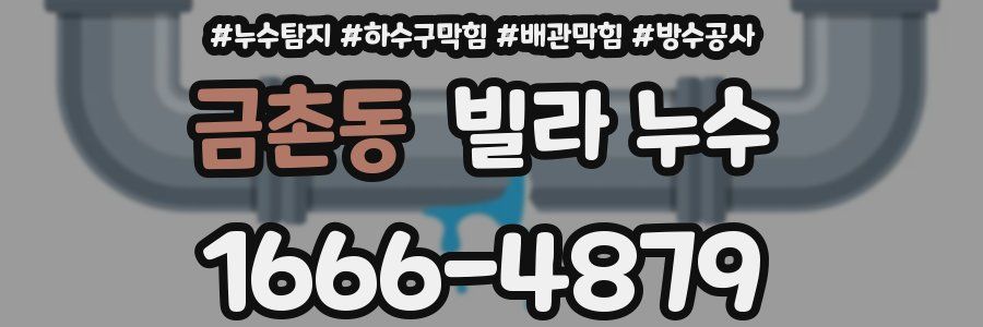금촌동 빌라 누수