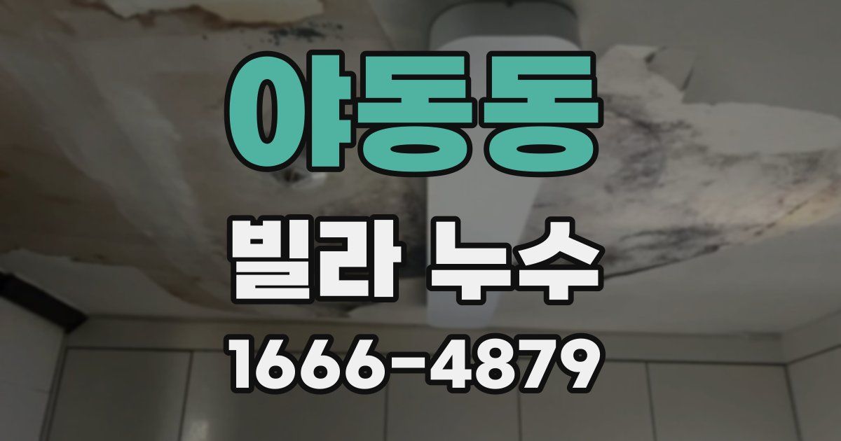 야동동 빌라 누수