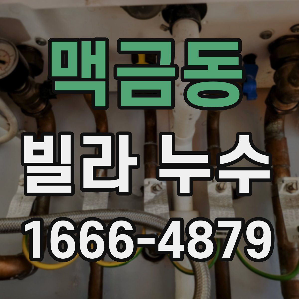 맥금동 빌라 누수
