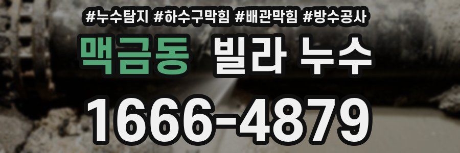 맥금동 빌라 누수