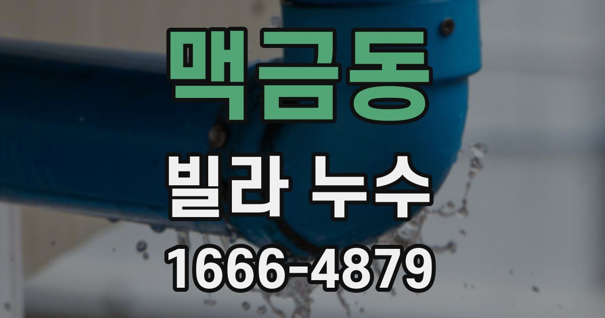 맥금동 빌라 누수