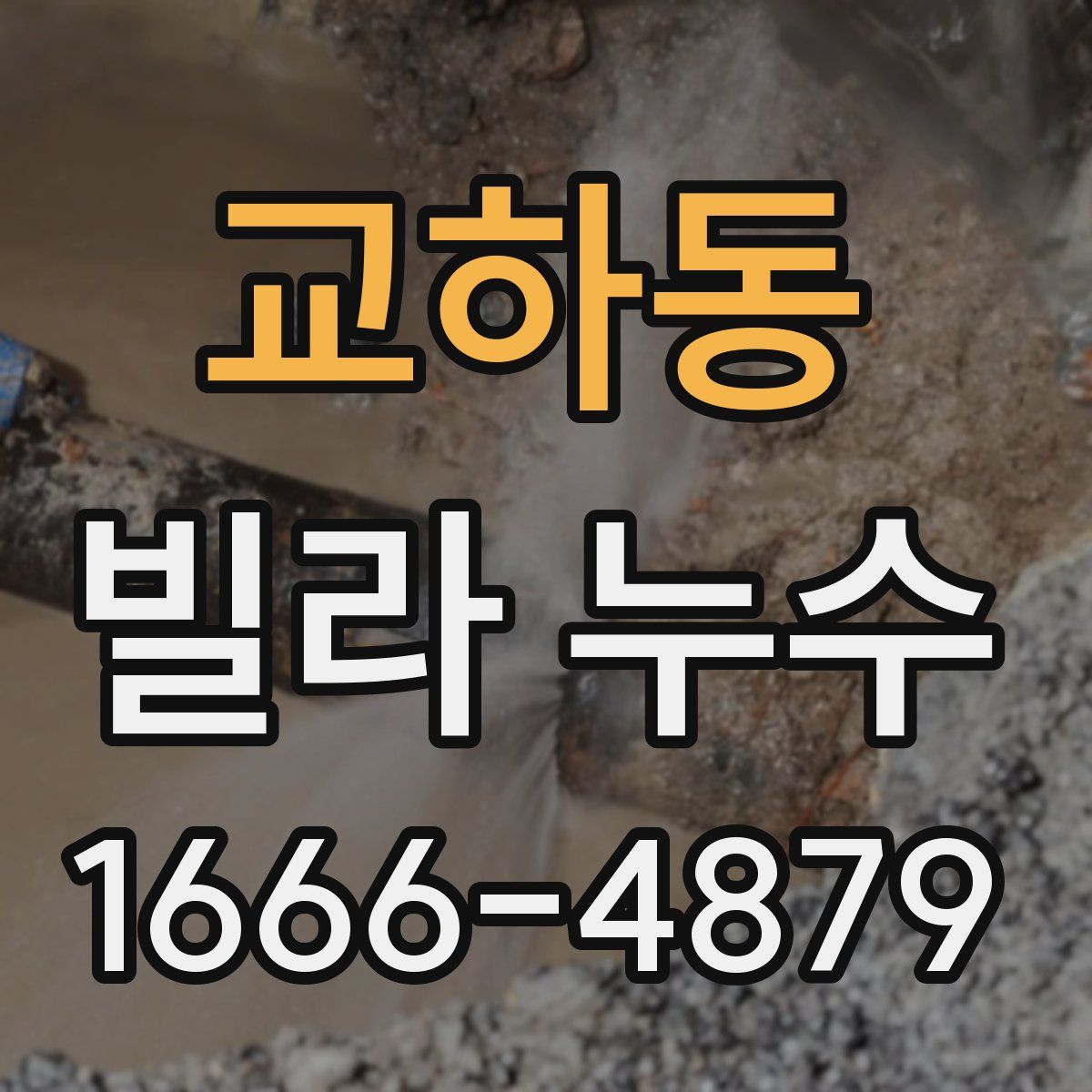 교하동 빌라 누수