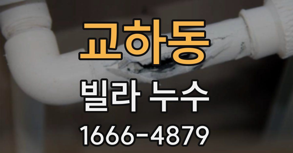 교하동 빌라 누수
