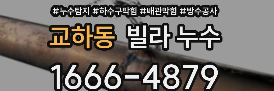 교하동 빌라 누수