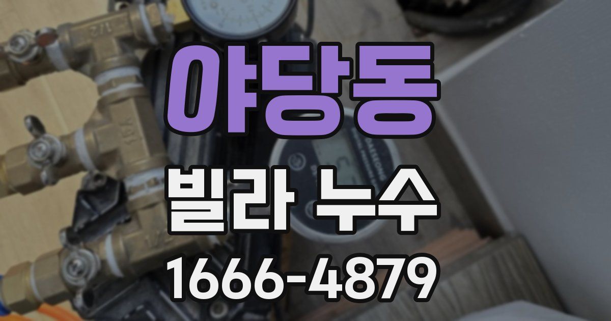 야당동 빌라 누수