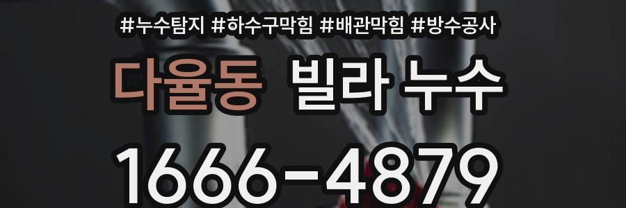 다율동 빌라 누수