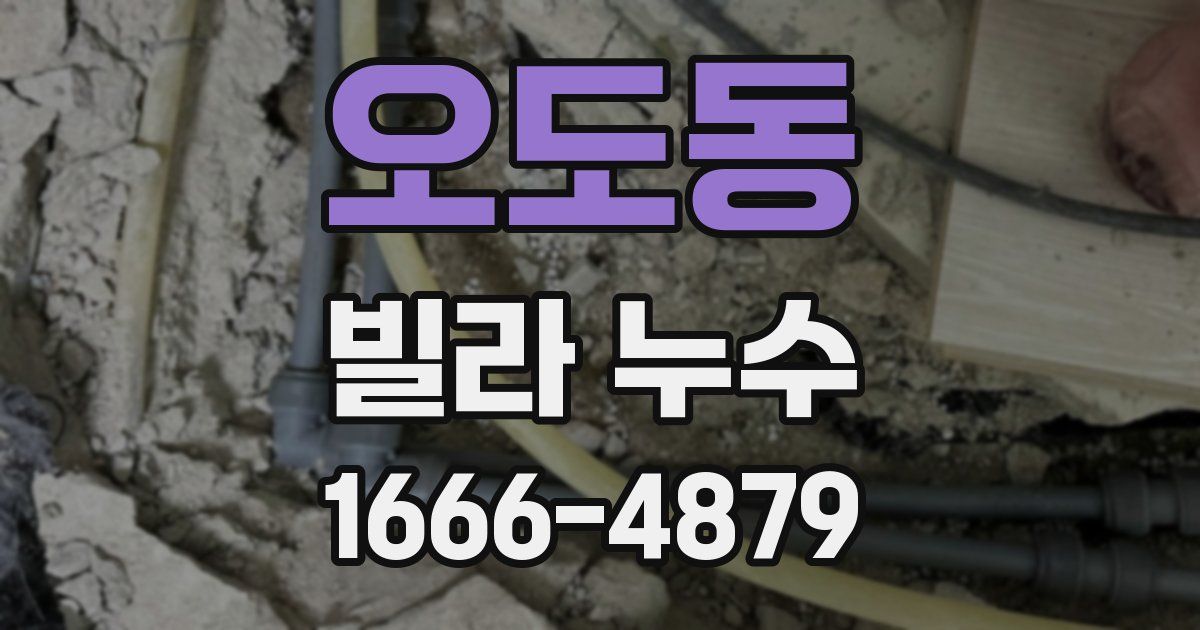 오도동 빌라 누수
