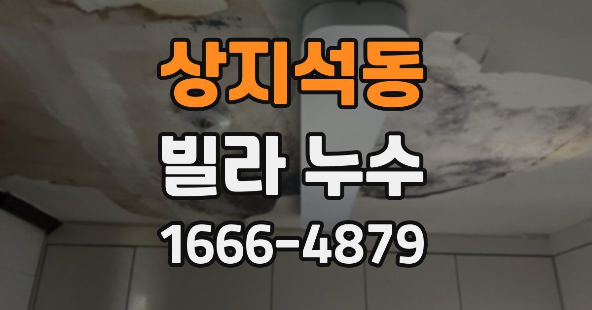 상지석동 빌라 누수