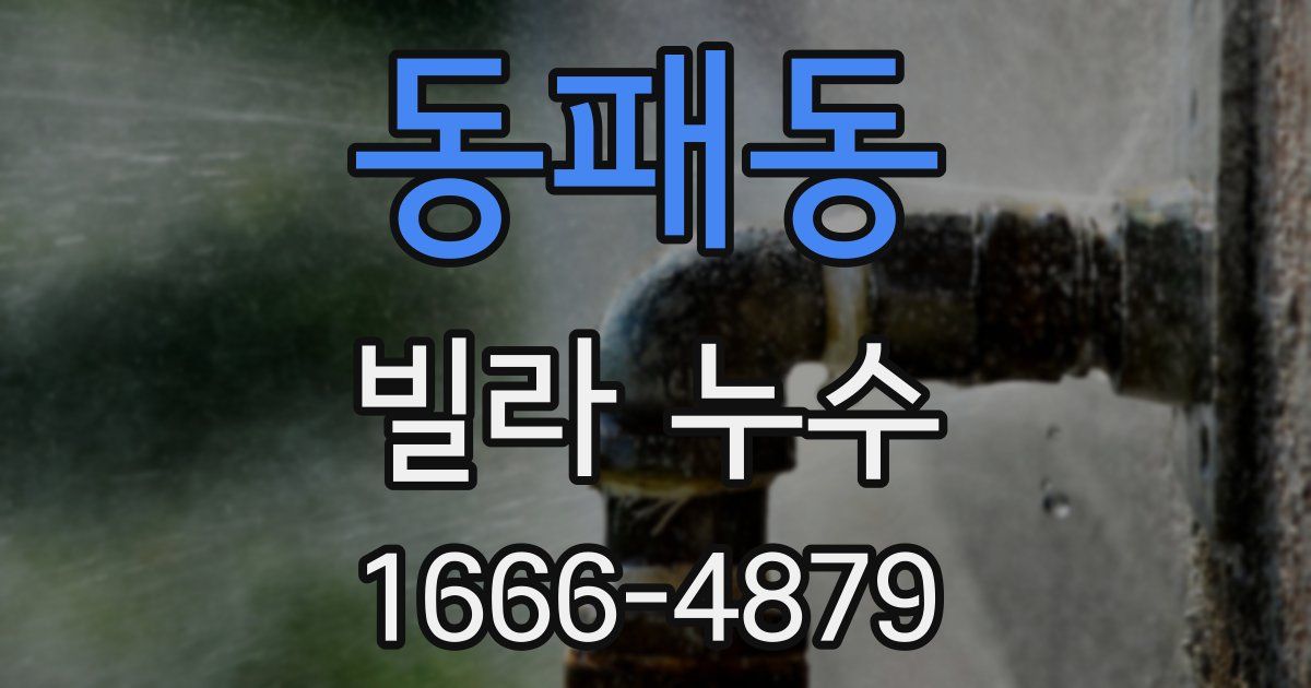 동패동 빌라 누수