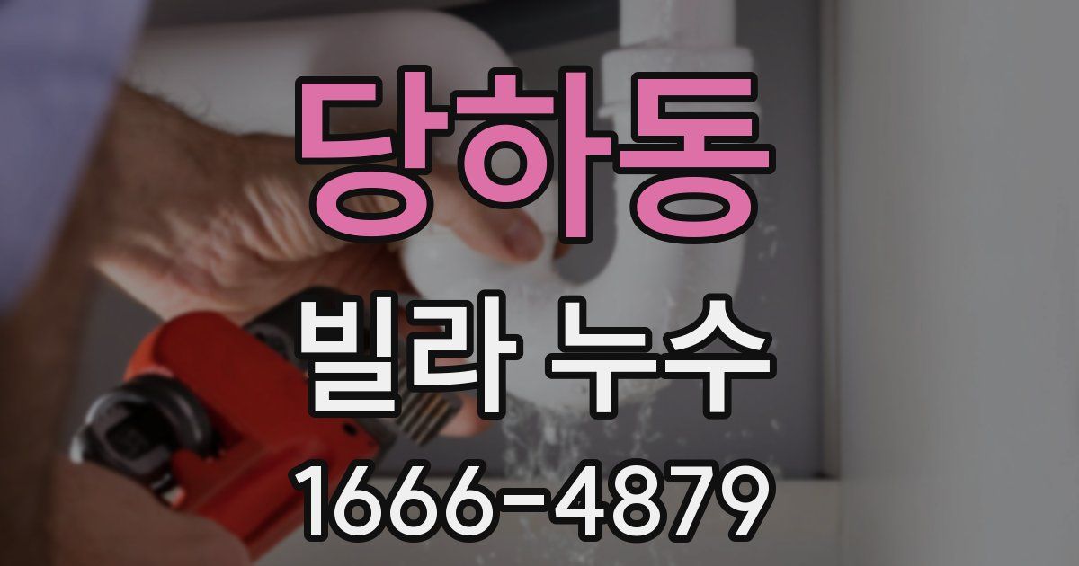 당하동 빌라 누수