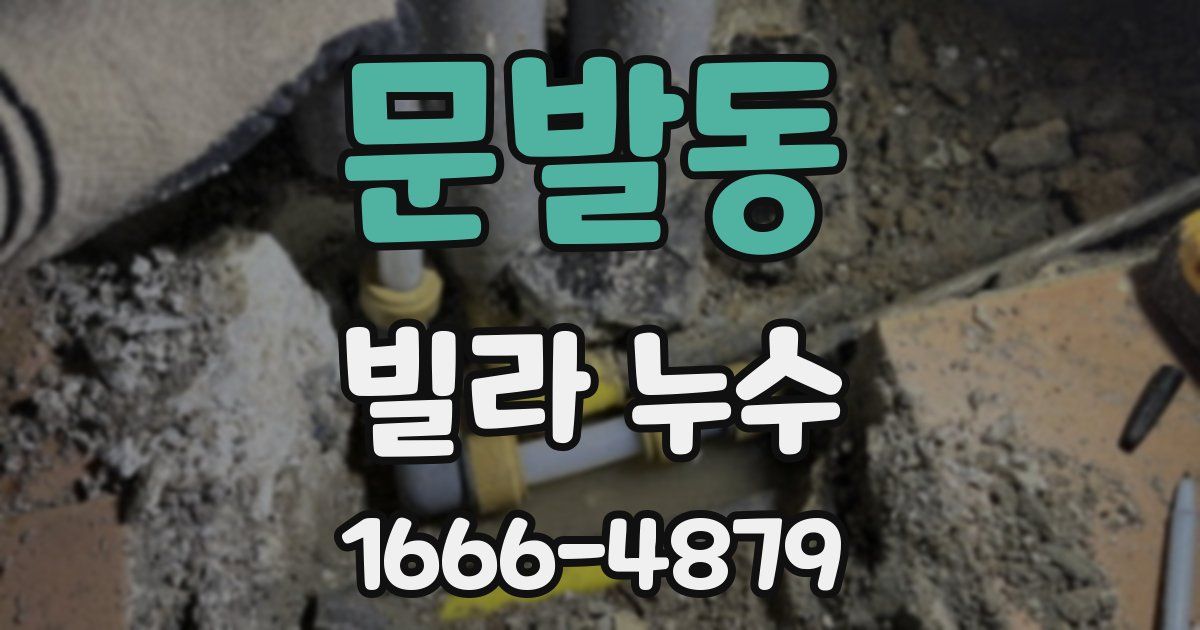 문발동 빌라 누수