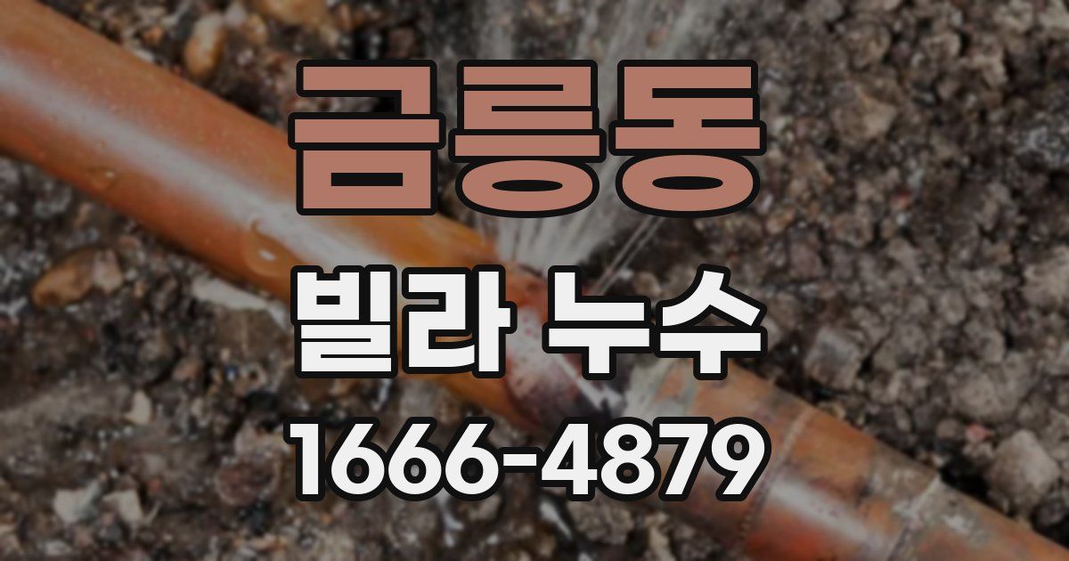 금릉동 빌라 누수