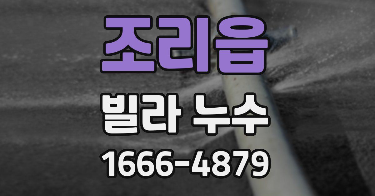 조리읍 빌라 누수