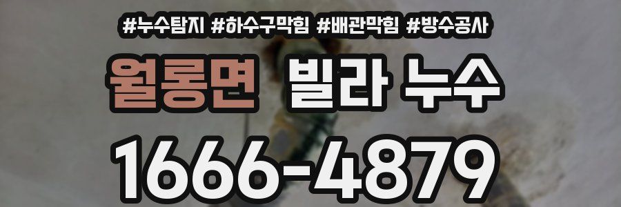 월롱면 빌라 누수
