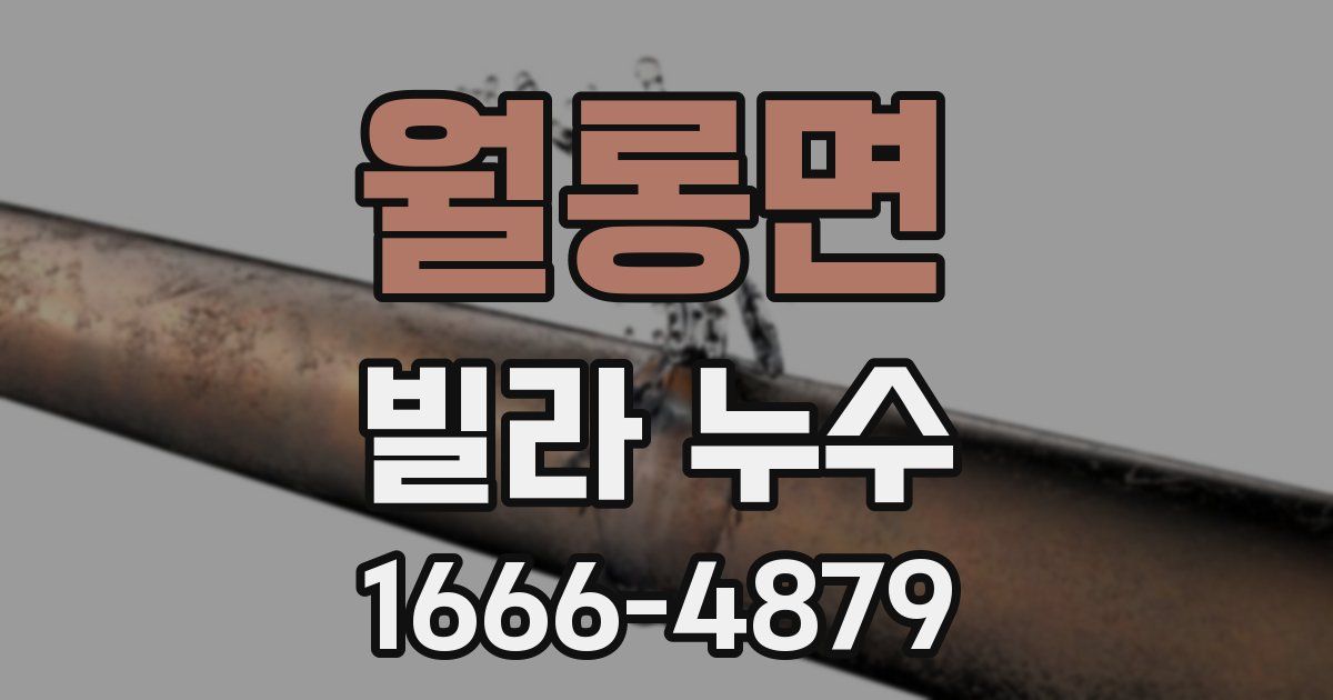 월롱면 빌라 누수