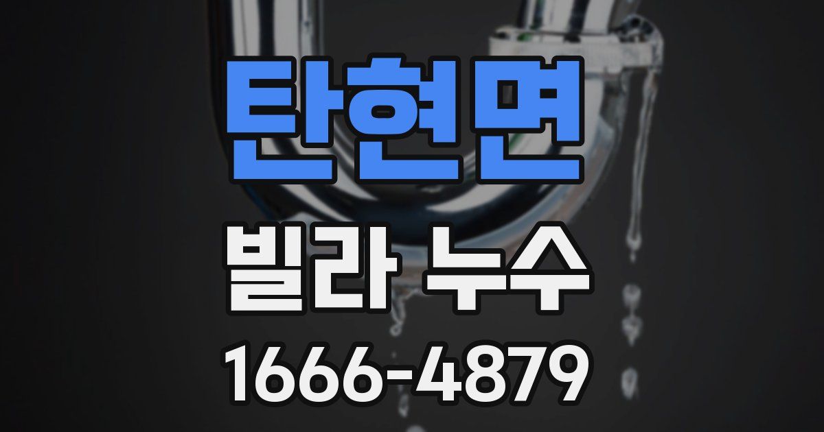 탄현면 빌라 누수