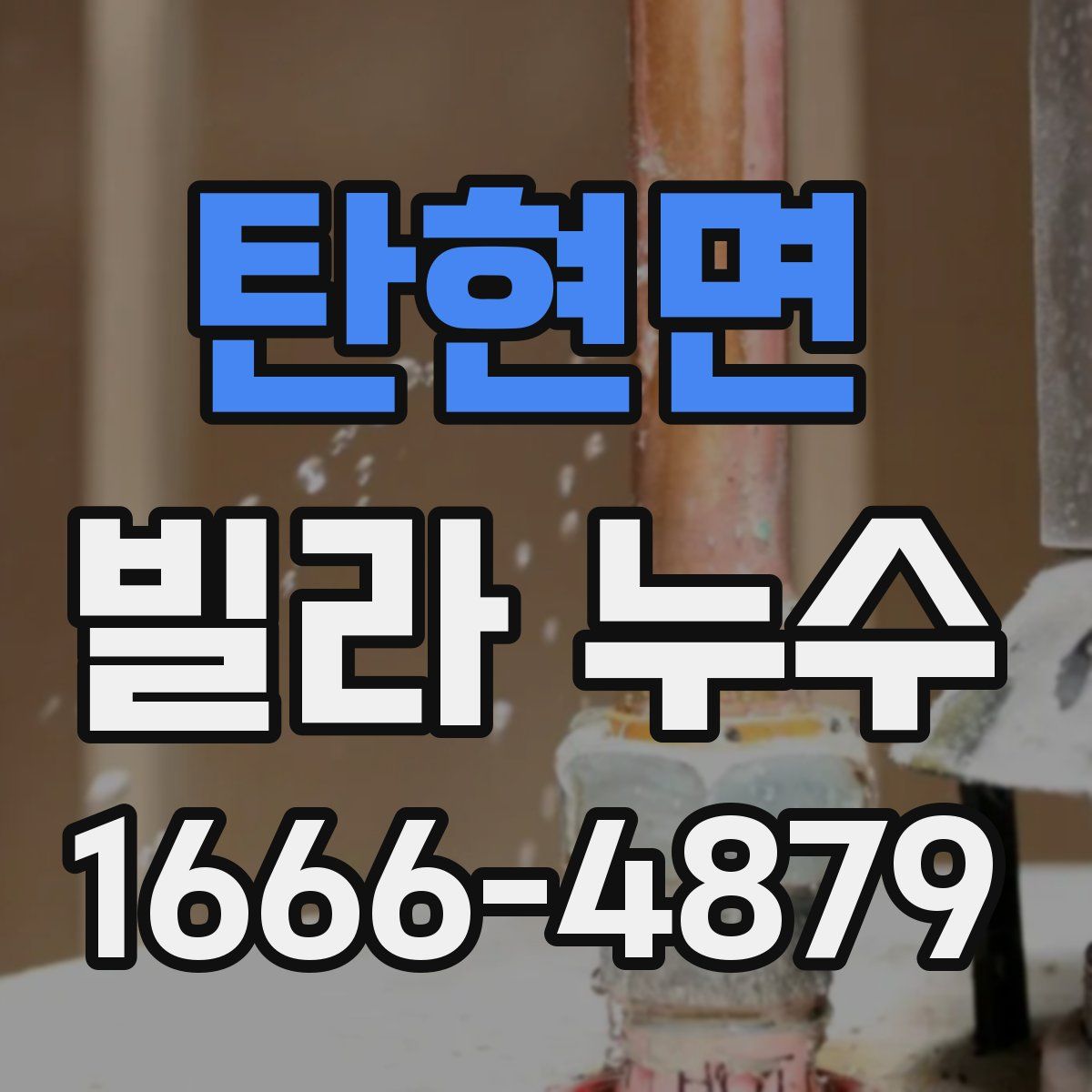 탄현면 빌라 누수