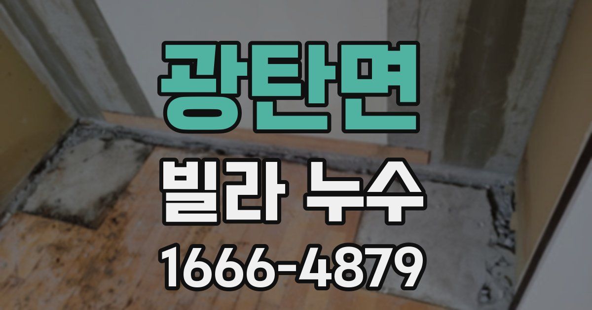 광탄면 빌라 누수