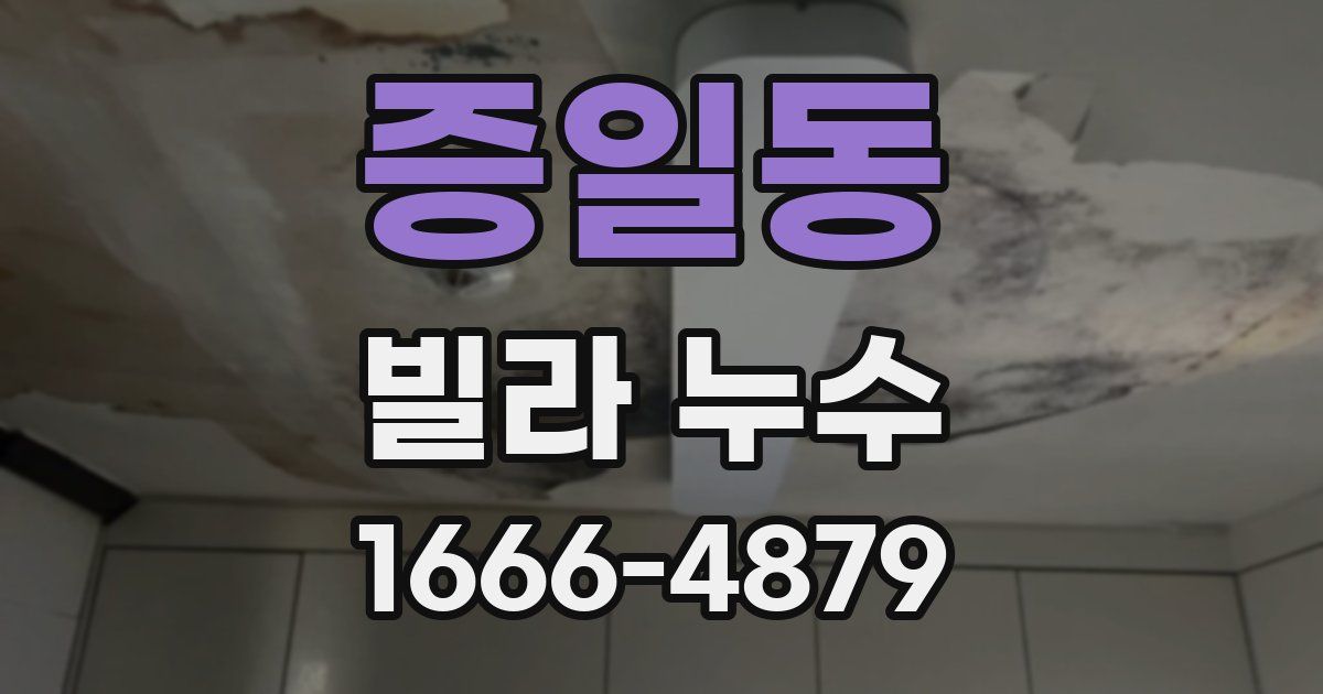 증일동 빌라 누수