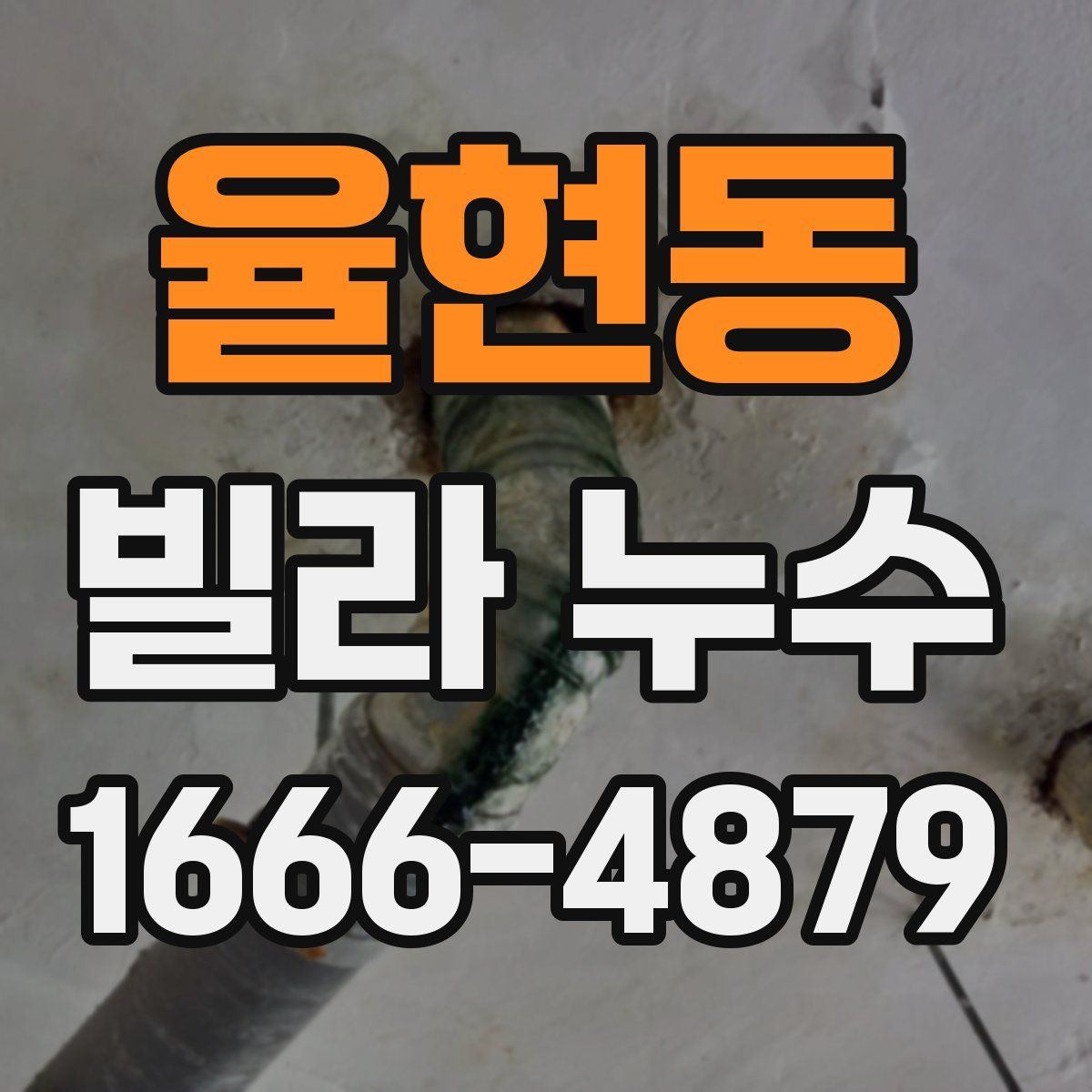 율현동 빌라 누수