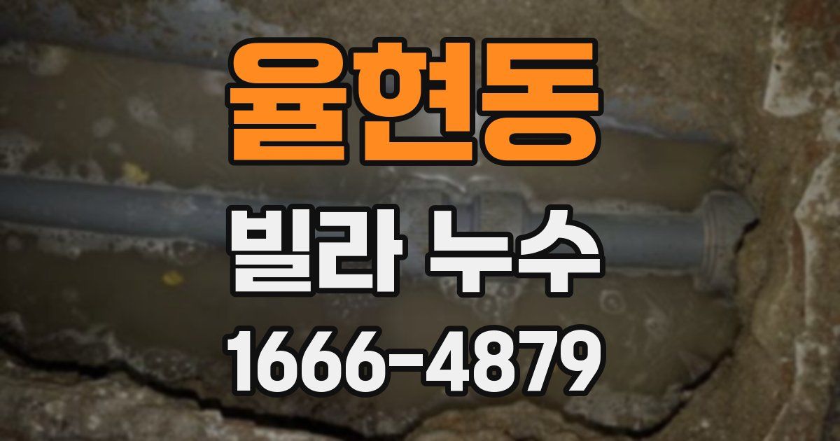 율현동 빌라 누수