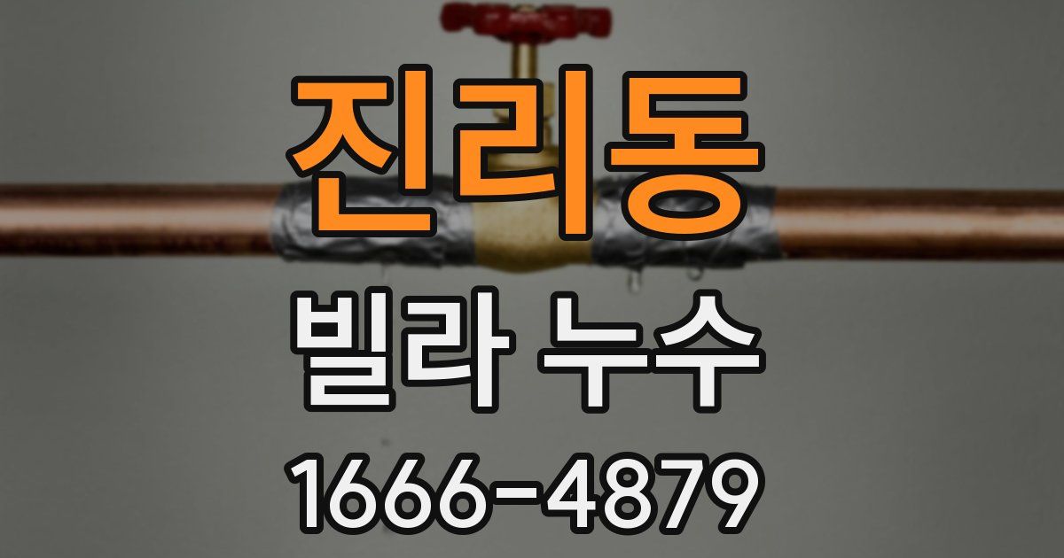 진리동 빌라 누수