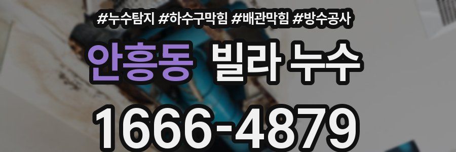 안흥동 빌라 누수