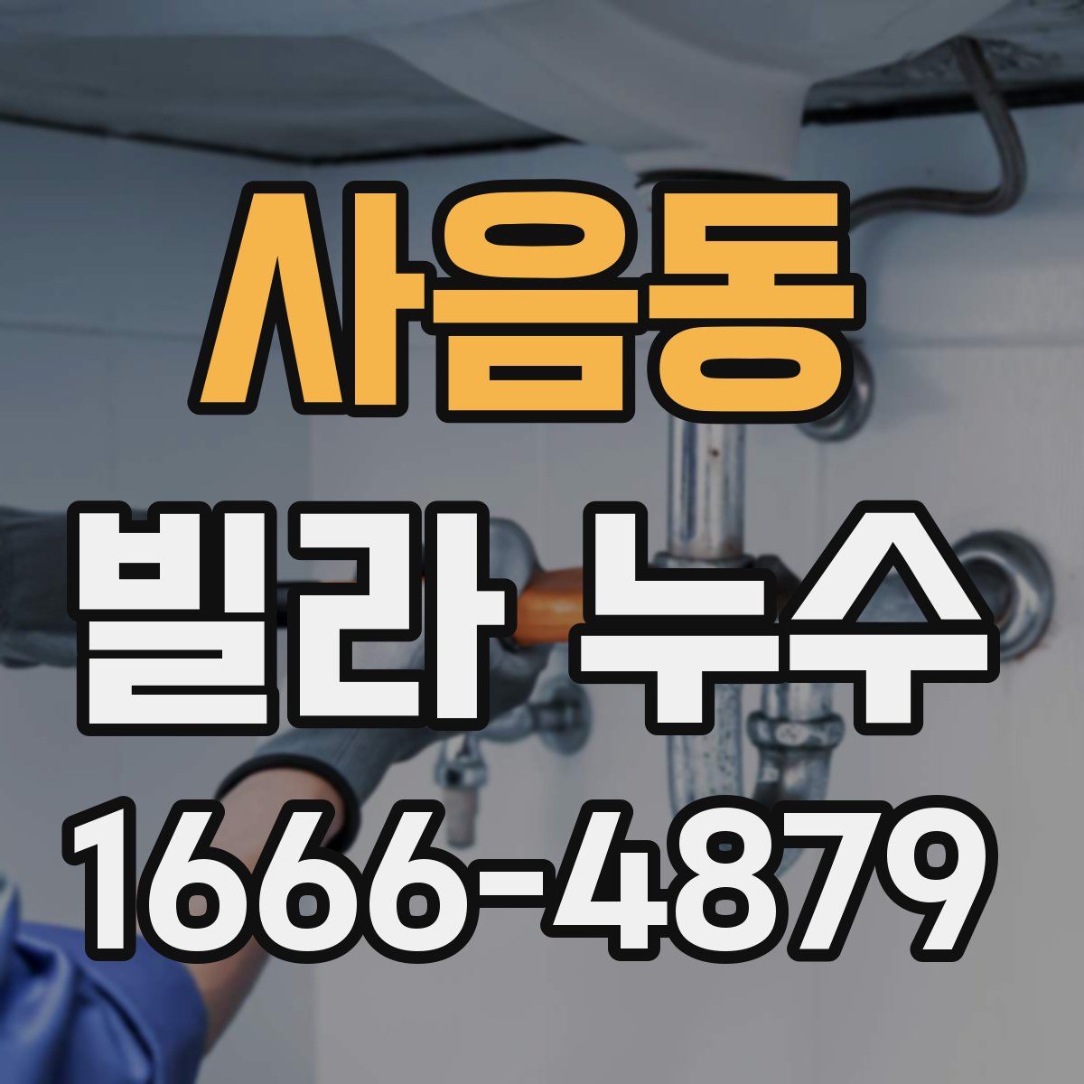 사음동 빌라 누수